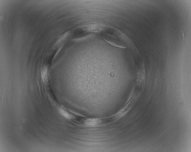 X0000082170142200702021736