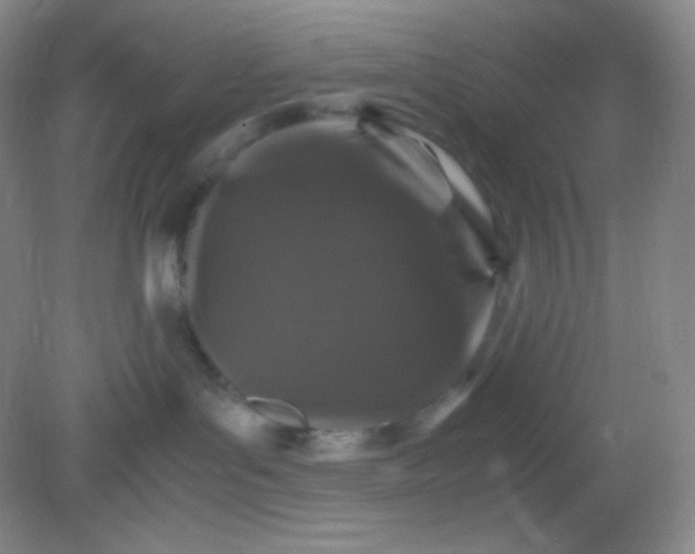 X0000082170143200702021736