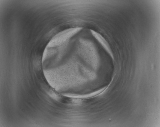 X0000082170144200702021736