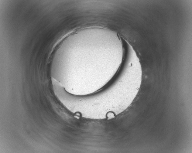 X0000082170146200702021735