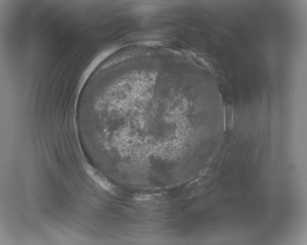 X0000082170147200702021735