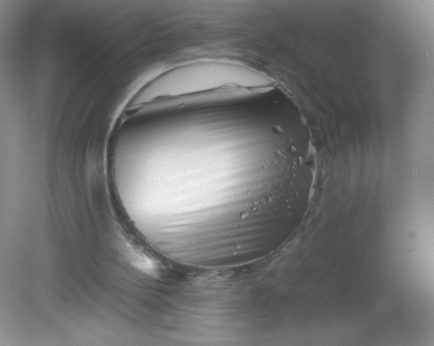 X0000082170148200702021735