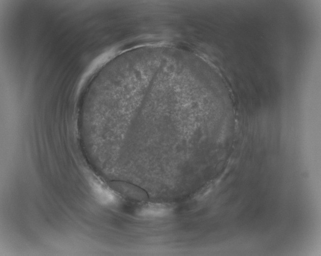 X0000082170149200702021735