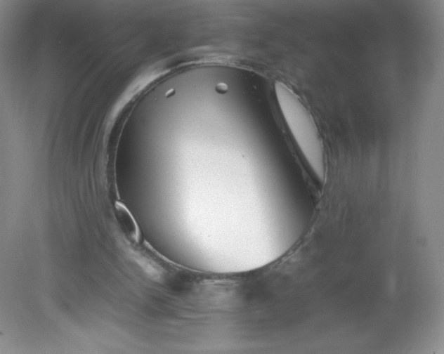 X0000082170150200702021735