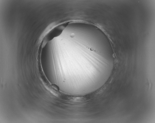 X0000082170151200702021735