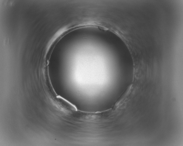 X0000082170152200702021735