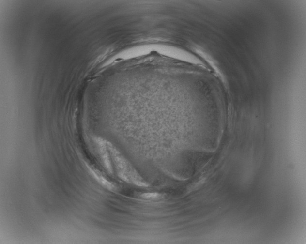 X0000082170153200702021735