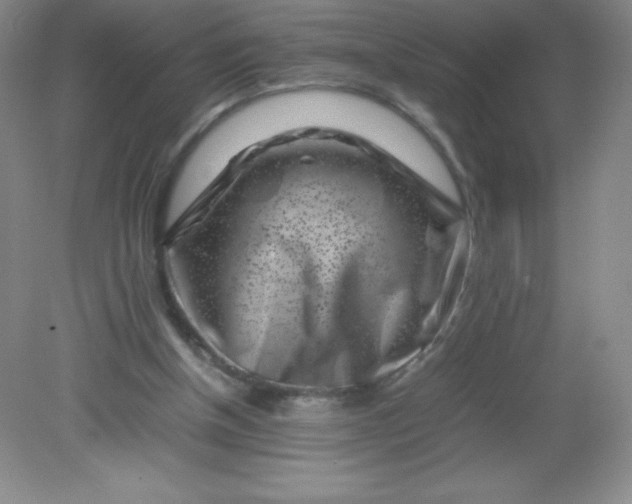 X0000082170154200702021735