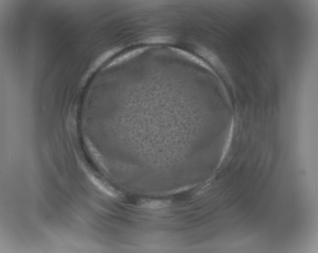 X0000082170155200702021735