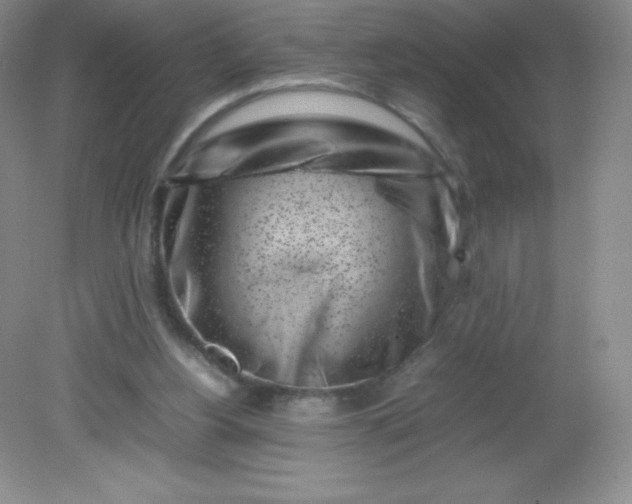 X0000082170156200702021735