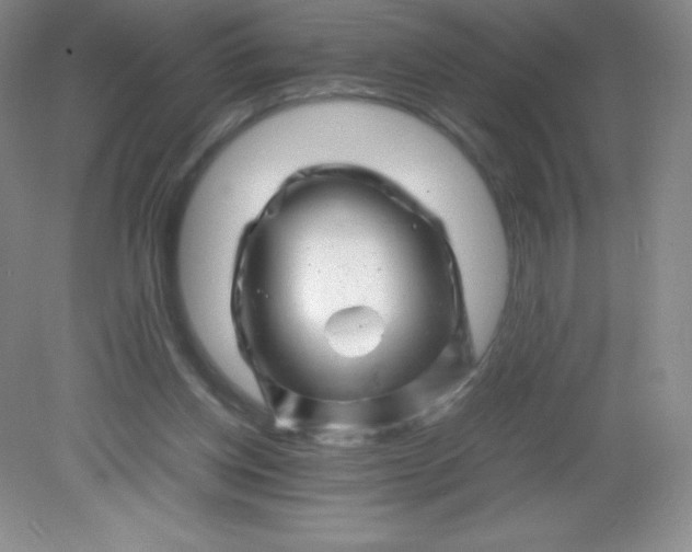 X0000082170158200702021735