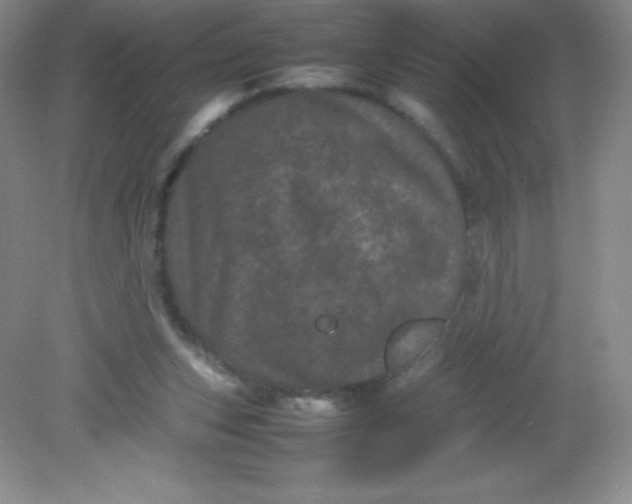 X0000082170159200702021736