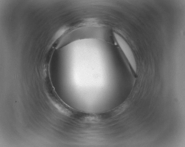 X0000082170160200702021736