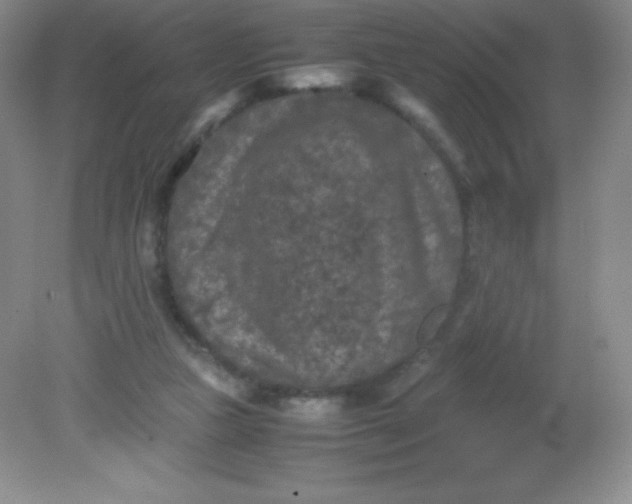 X0000082170161200702021736