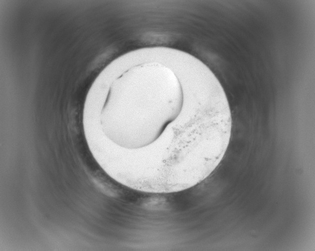 X0000082170162200702021736