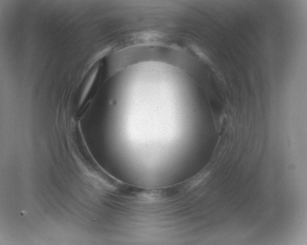 X0000082170164200702021736