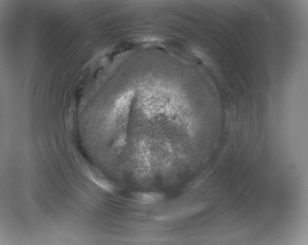 X0000082170165200702021736