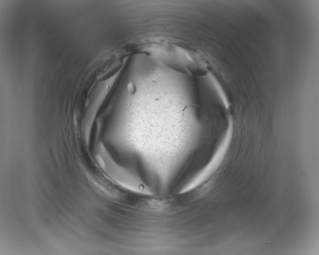 X0000082170166200702021736