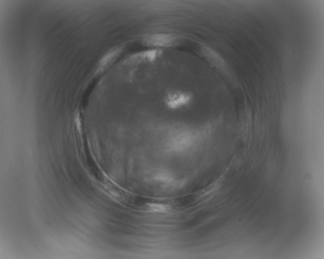 X0000082170167200702021736