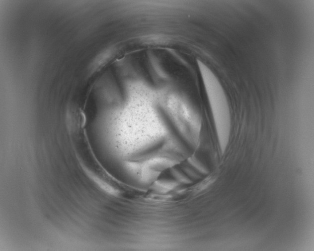 X0000082170168200702021736