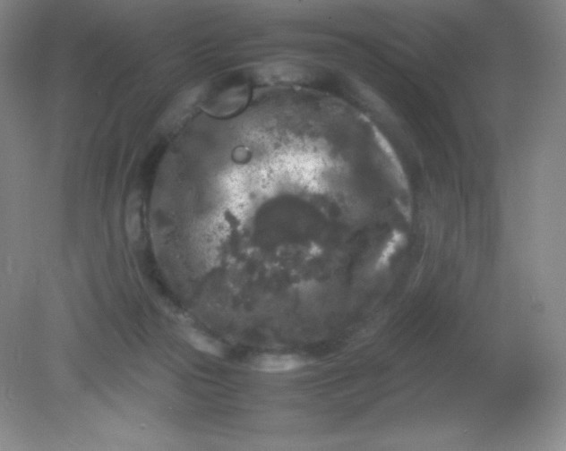 X0000082170169200702021736