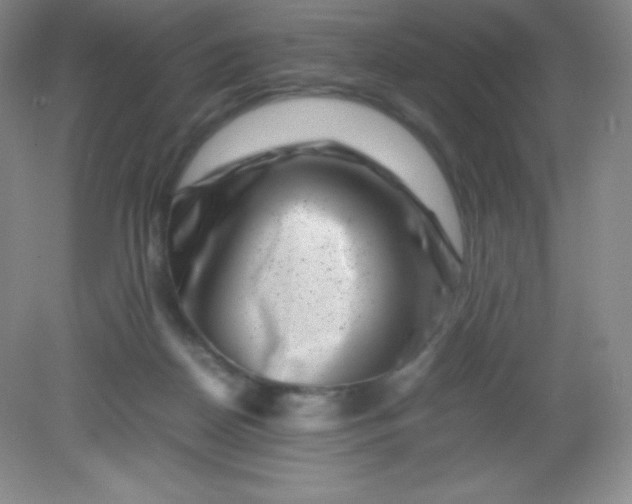 X0000082170170200702021736