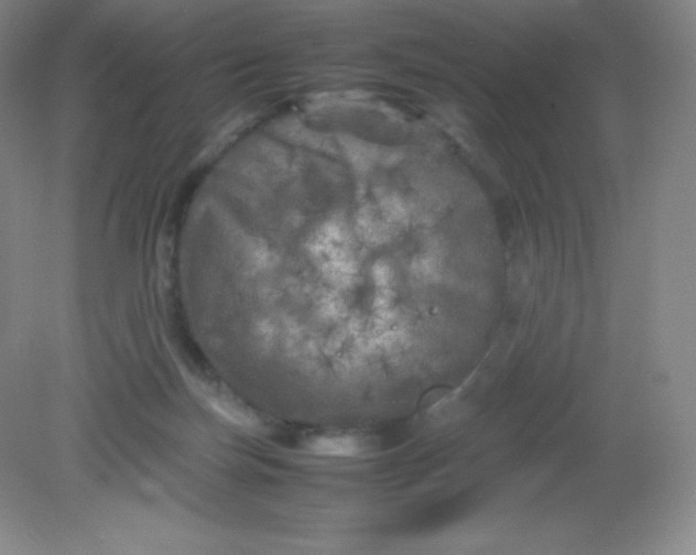 X0000082170171200702021736