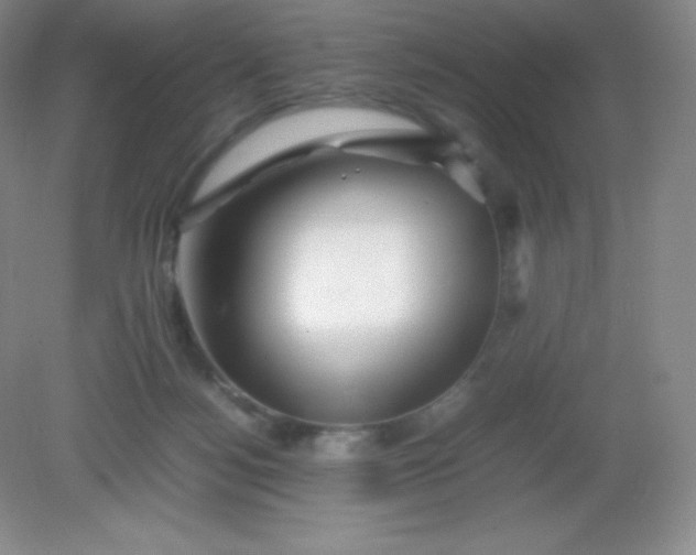 X0000082170172200702021736