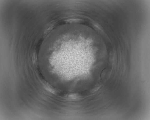 X0000082170173200702021736