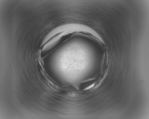 X0000082170174200702021736