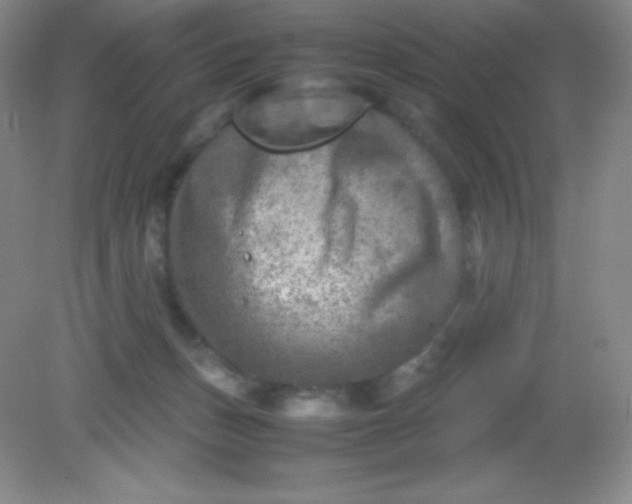 X0000082170175200702021736