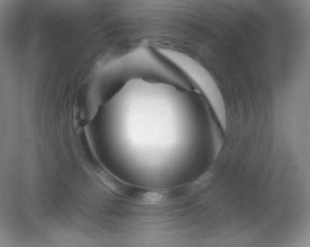 X0000082170176200702021736