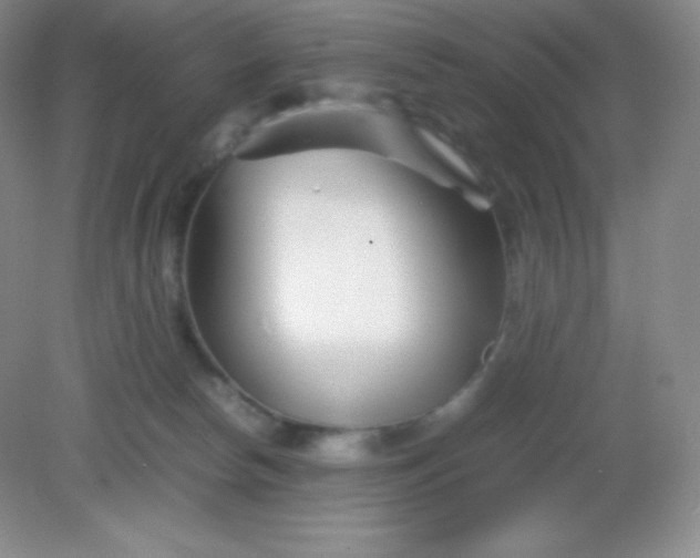 X0000082170178200702021736