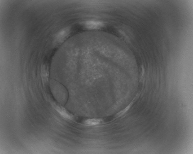 X0000082170179200702021736