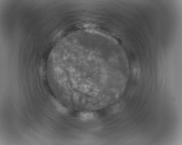 X0000082170181200702021736