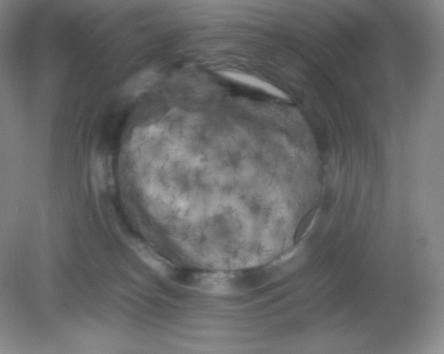 X0000082170182200702021736