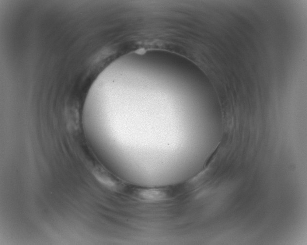 X0000082170183200702021736