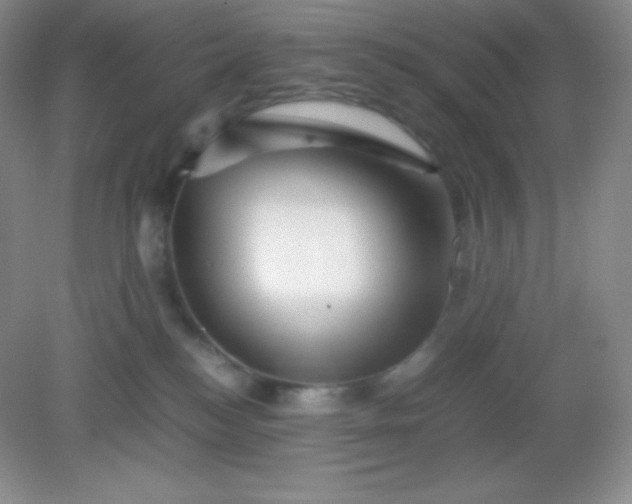 X0000082170184200702021736