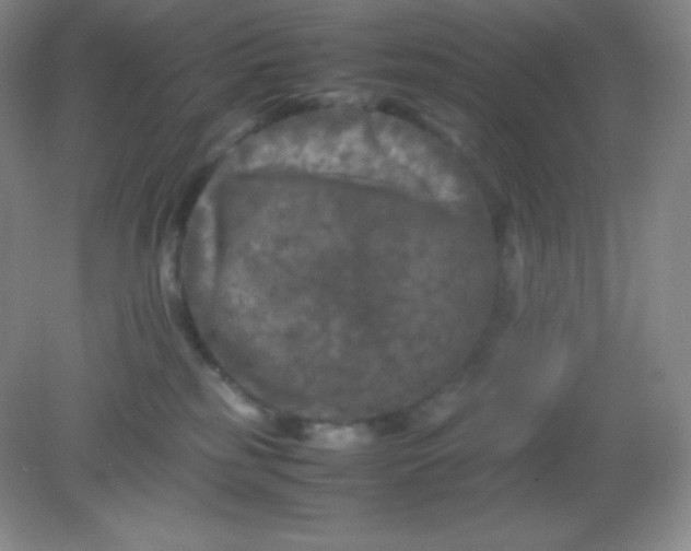 X0000082170185200702021736