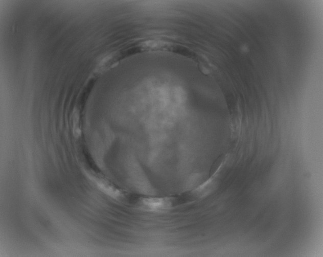 X0000082170187200702021736