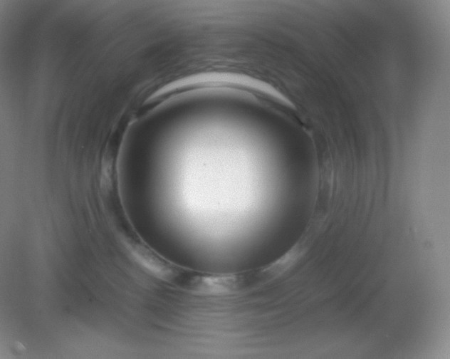 X0000082170188200702021736