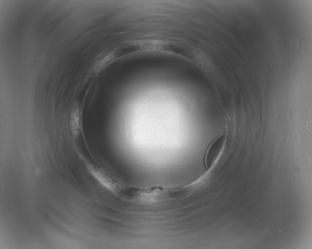 X0000082170190200702021736