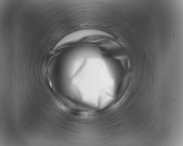 X0000082170192200702021736