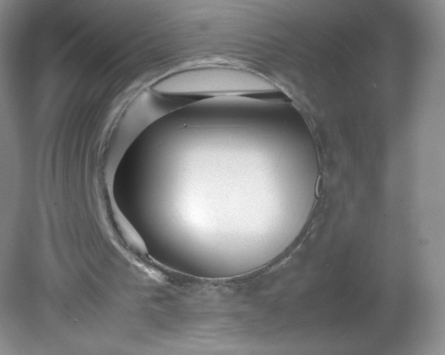 X0000082170193200702021735