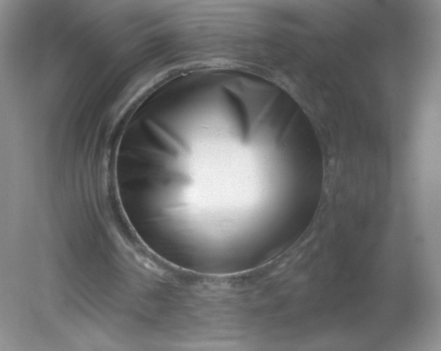 X0000082170194200702021735