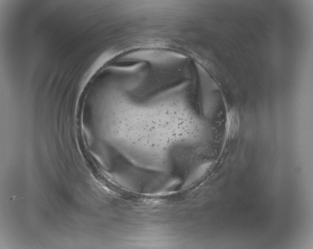 X0000082170195200702021735