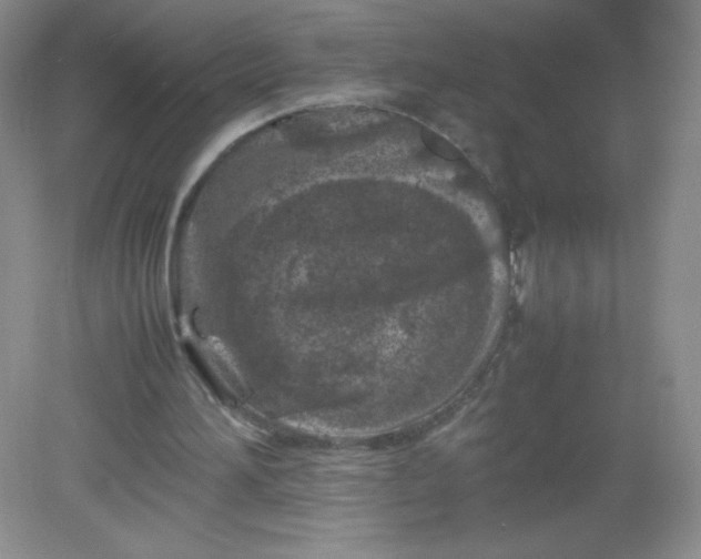 X0000082170196200702021735