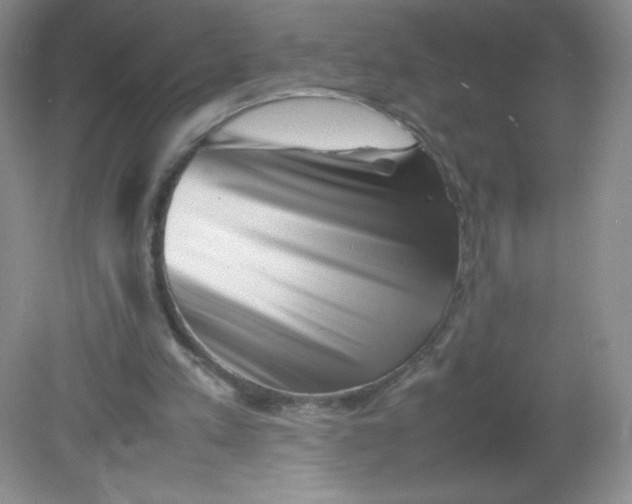 X0000082170197200702021735