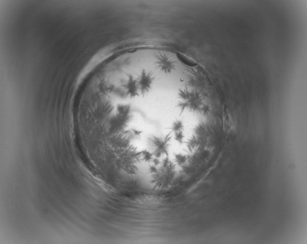 X0000082170198200702021735