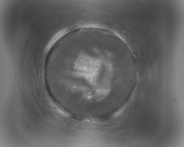 X0000082170199200702021735